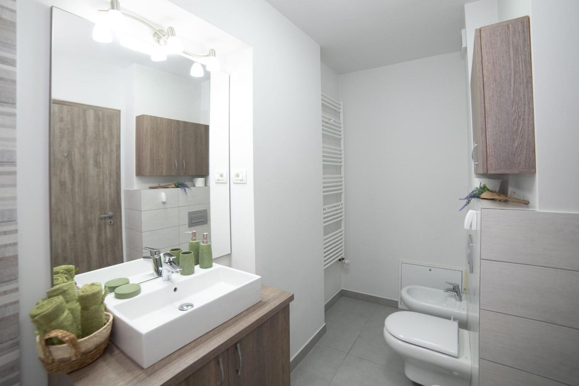 Arad Plaza Viktoria Apartament 外观 照片